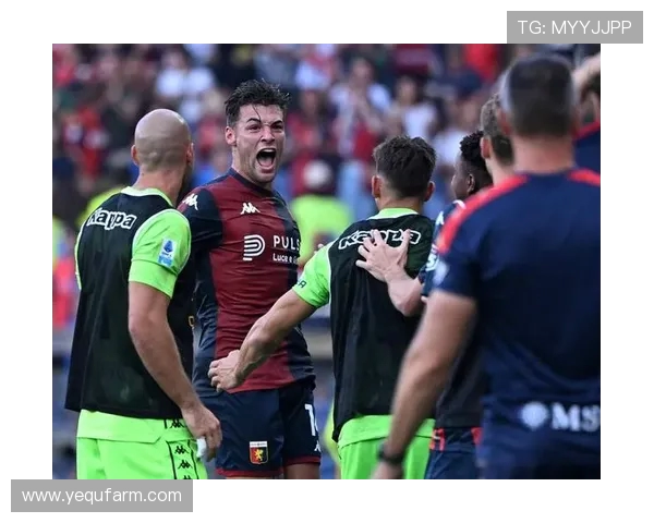 意甲首次使用裁判摄像机 图拉姆兄弟同框留下精彩瞬间 意甲首次使用裁判摄像机 图拉姆兄弟同框留下精彩瞬间