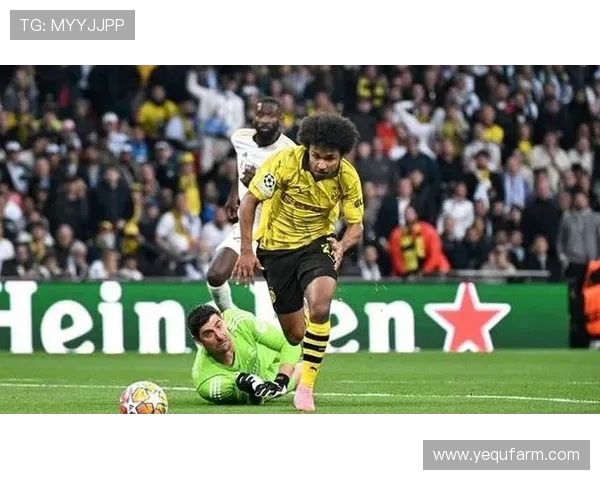 阿德耶米谈连续五场表现出色 仍需进一步提升稳定性 阿德耶米谈连续五场表现出色 仍需进一步提升稳定性