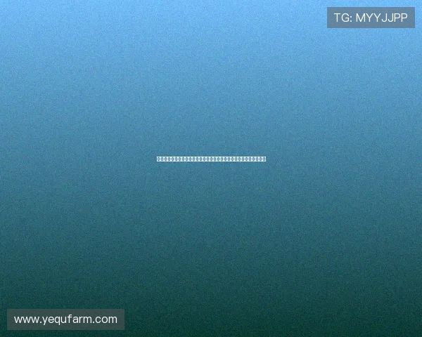 德拉富恩特新名单曝光亚马尔与拉波尔特强势回归助力西班牙重塑锋线 德拉富恩特新名单曝光亚马尔与拉波尔特强势回归助力西班牙重塑锋线