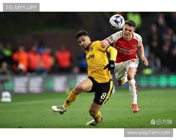 英国机构公布狼队新帅赔率 罗杰斯领先滕哈格紧随其后